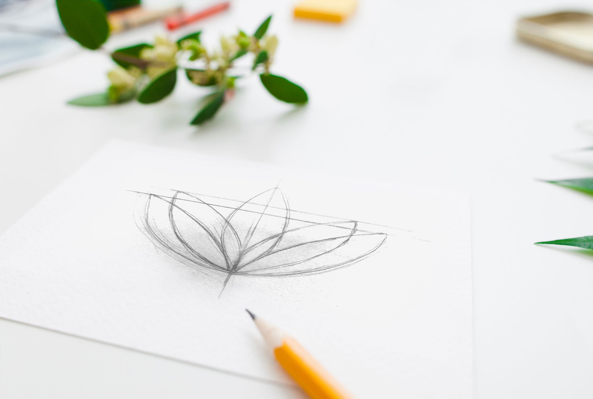 Dr Cannabis: Brand Identity