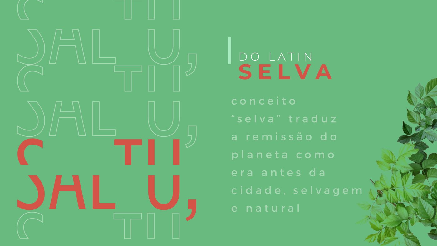 Saltu concept page tracing the name to the Latin 'selva', the wild landscape that existed before the city